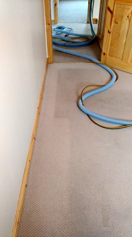 Carpet during cleaning by Donegal Cleaning Services - showing before and after cleaning areas of the carpet  - Carpet & Rug Cleaning by Donegal Cleaning Services, Ireland