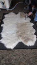 Sheepskin Rug cleaning - showing before and after areas on a sheepskin rug - effective rug cleaning by Donegal Cleaning Services, Ireland
